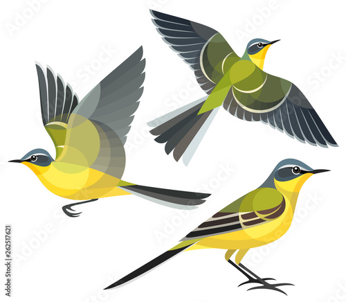 Stylized Birds - Yellow Wagtail