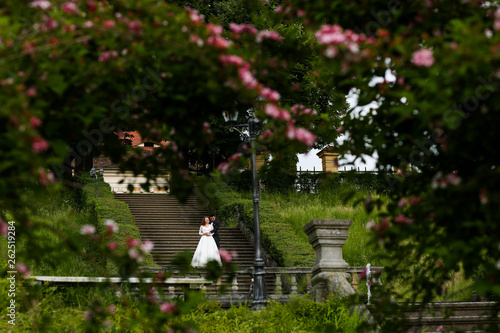 Beautiful wedding couple posing on stairs in park