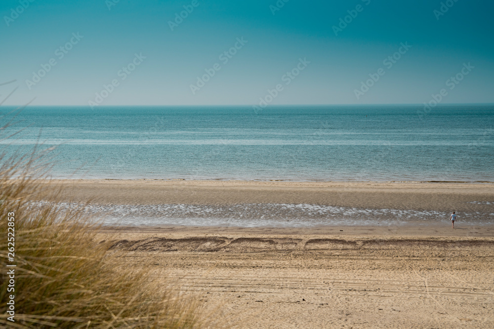 dune landscape, beach Burgh Haamstede, The Netherlands. North Sea coast