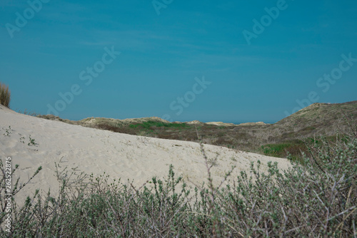 dune landscape  beach Burgh Haamstede  The Netherlands. North Sea coast