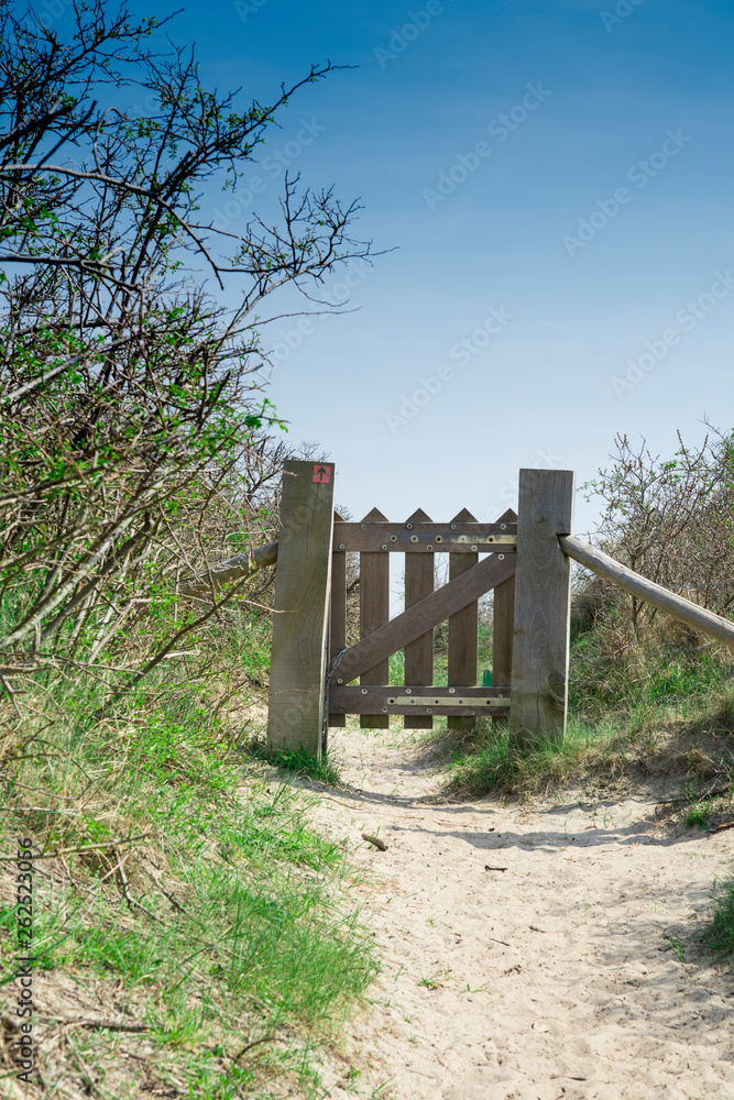 wooden fence and hiking path through the dunes of Burgh Haamstede, The Netherlands