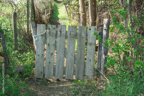 wooden fence and hiking path through the dunes of Burgh Haamstede, The Netherlands photo