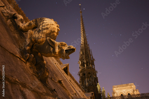 Canvastavla Notre Dame de Paris by night