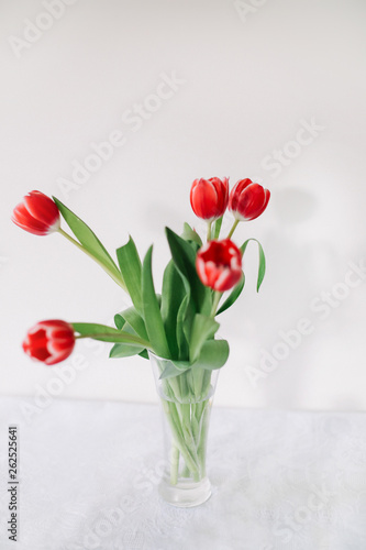 Red tulips in vase on white background. Concept of holiday, birthday, Easter, March 8. 