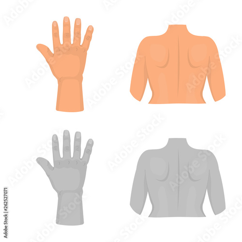 Isolated object of body and part logo. Set of body and anatomy stock symbol for web.