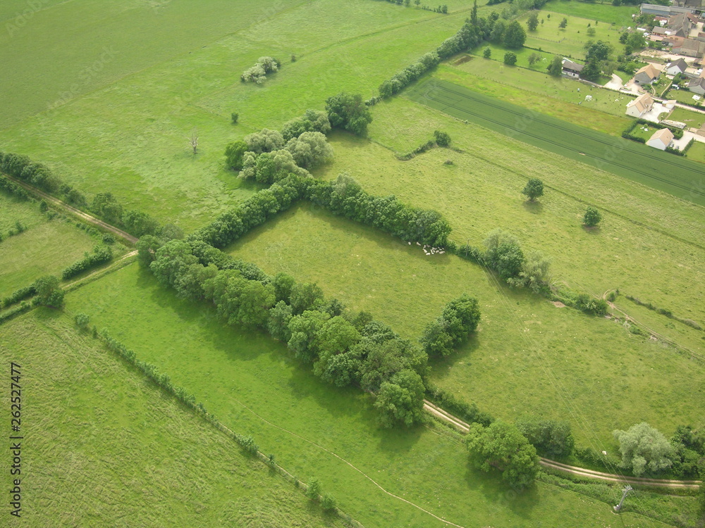 Carré d'arbres au milieu des champs vue aérienne Stock Photo | Adobe Stock