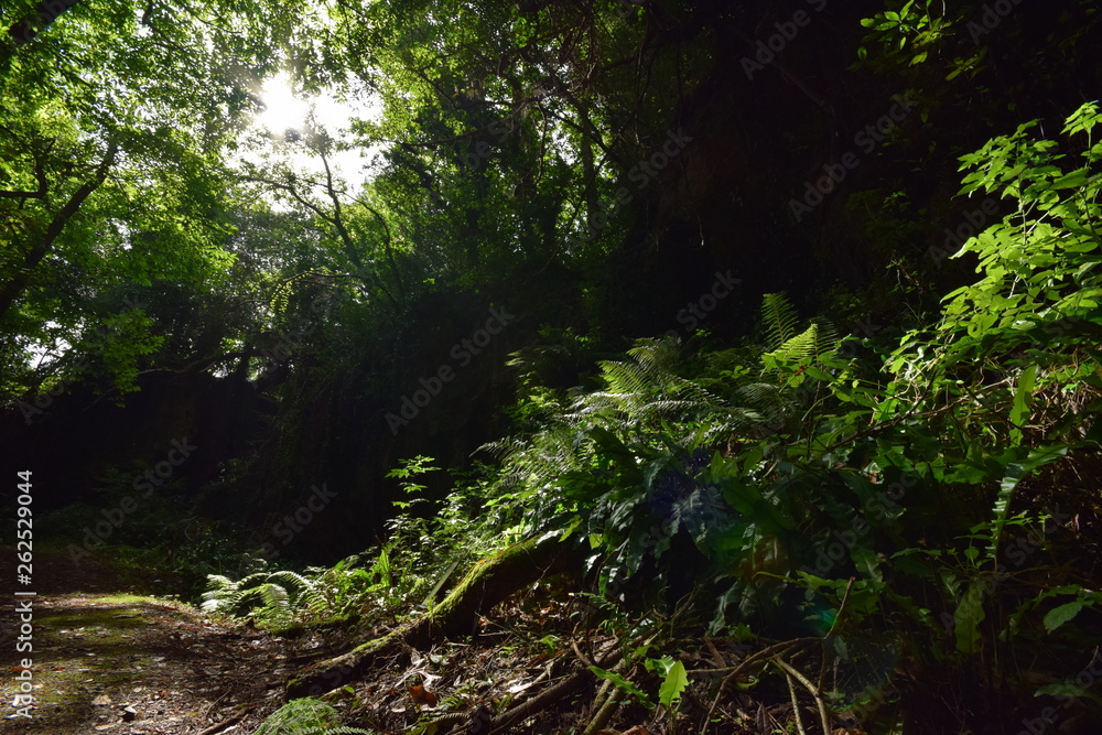 Obraz premium Luces y sombras