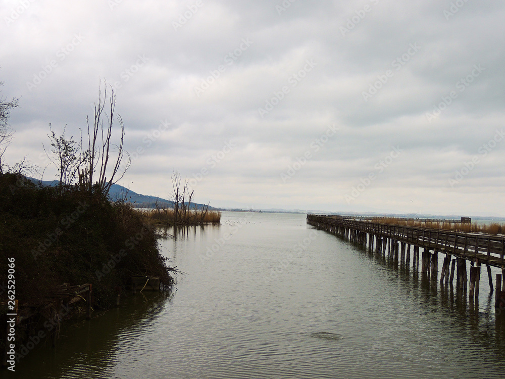 Fototapeta premium Natural reserve on the Trasimeno Lake, Umbria Italy.