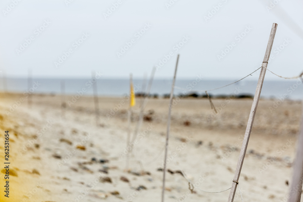Protective fence for piping plovers on Cape Cod