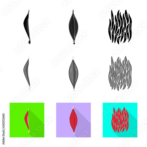 Vector illustration of fiber and muscular logo. Set of fiber and body  stock symbol for web.