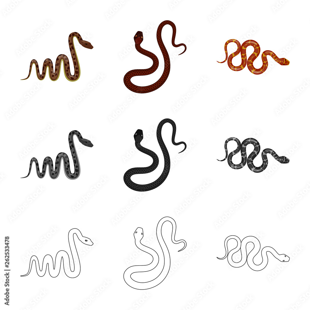 Isolated object of mammal and danger symbol. Set of mammal and medicine stock vector illustration. Isolated object of mammal and danger symbol. Set of mammal and medicine stock vector illustration.