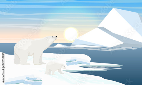 Polar bear and cub by the ocean. Iceberg in the water. North Sea or Ocean with frozen water. Ice and shore in the snow. Realistic Vector Landscape