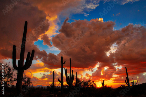 Foto Heavenly Sunset