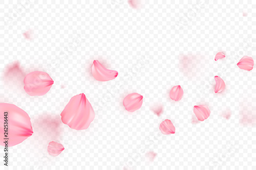 Pink sakura falling petals vector background. 3D romantic illustration. Transporent banner with sakura. Love card