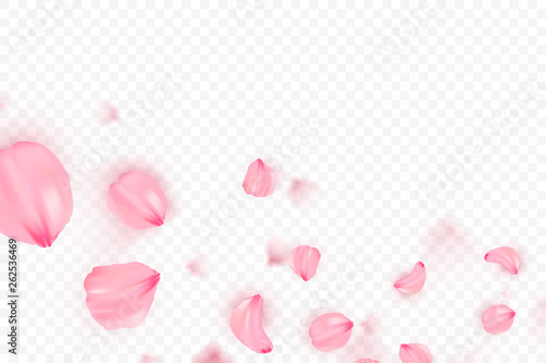 Pink sakura falling petals vector background. 3D romantic illustration. Transporent banner with sakura. Love card