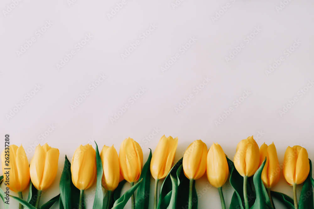 Obraz premium Beautiful yellow tulips on white background. Frame of colorful flowers. Flat lay, top view. Concept of holiday, birthday, Easter