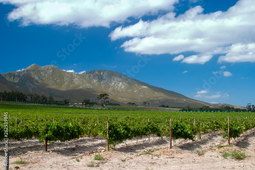 Stellenbosch Town in South Africa parks and reserves of south africa