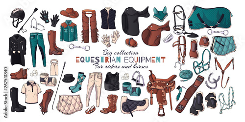 Vector illustrations on the equestrian equipment theme.