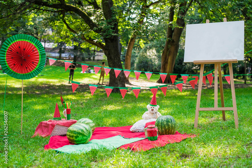 Watermelon party, picnic for children in park. watermelon day. Watermalon wearing cap, dress and glasses. Easel for text.