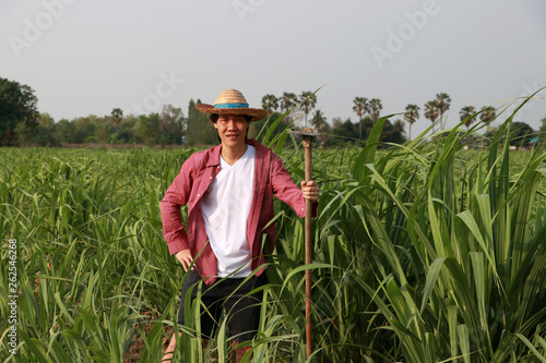 Man farmer with hoe in hand working in the sugarcane farm and wearing a straw hat.