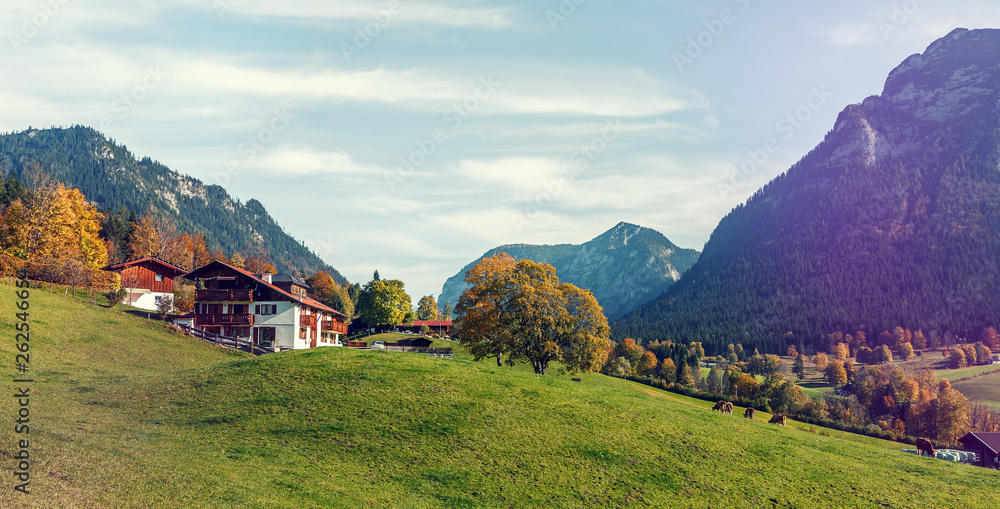 Amazing landscape in the Alps with  fresh green meadows under Sunlight in Warm Sunset.