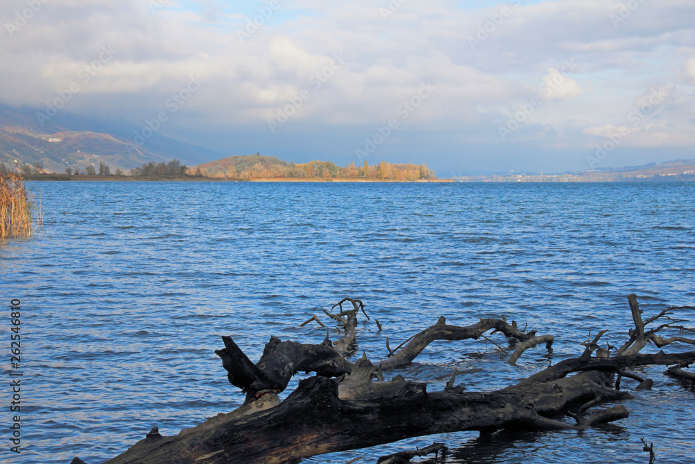 Fototapeta premium Neuenburgersee, Schweiz
