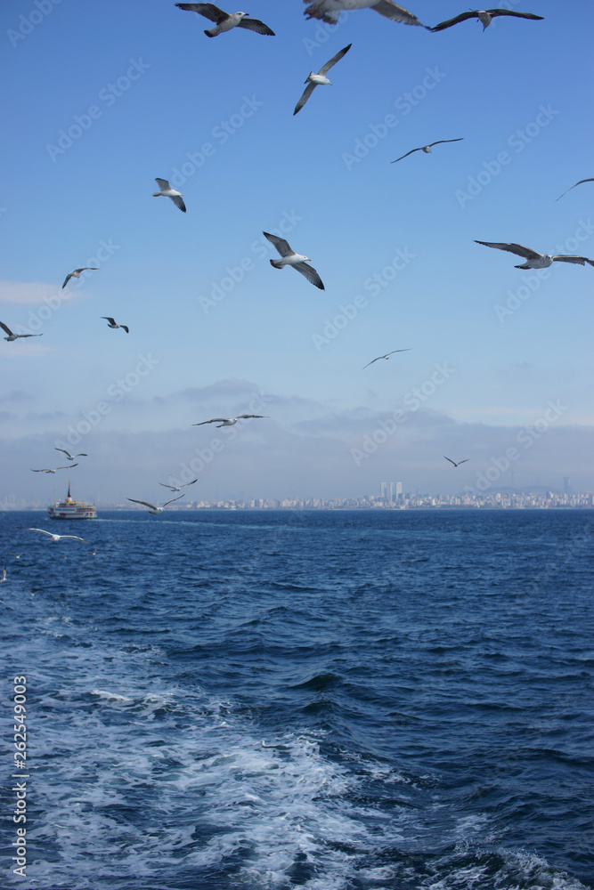 Water transport in Istanbul, March 2018. Turkey.