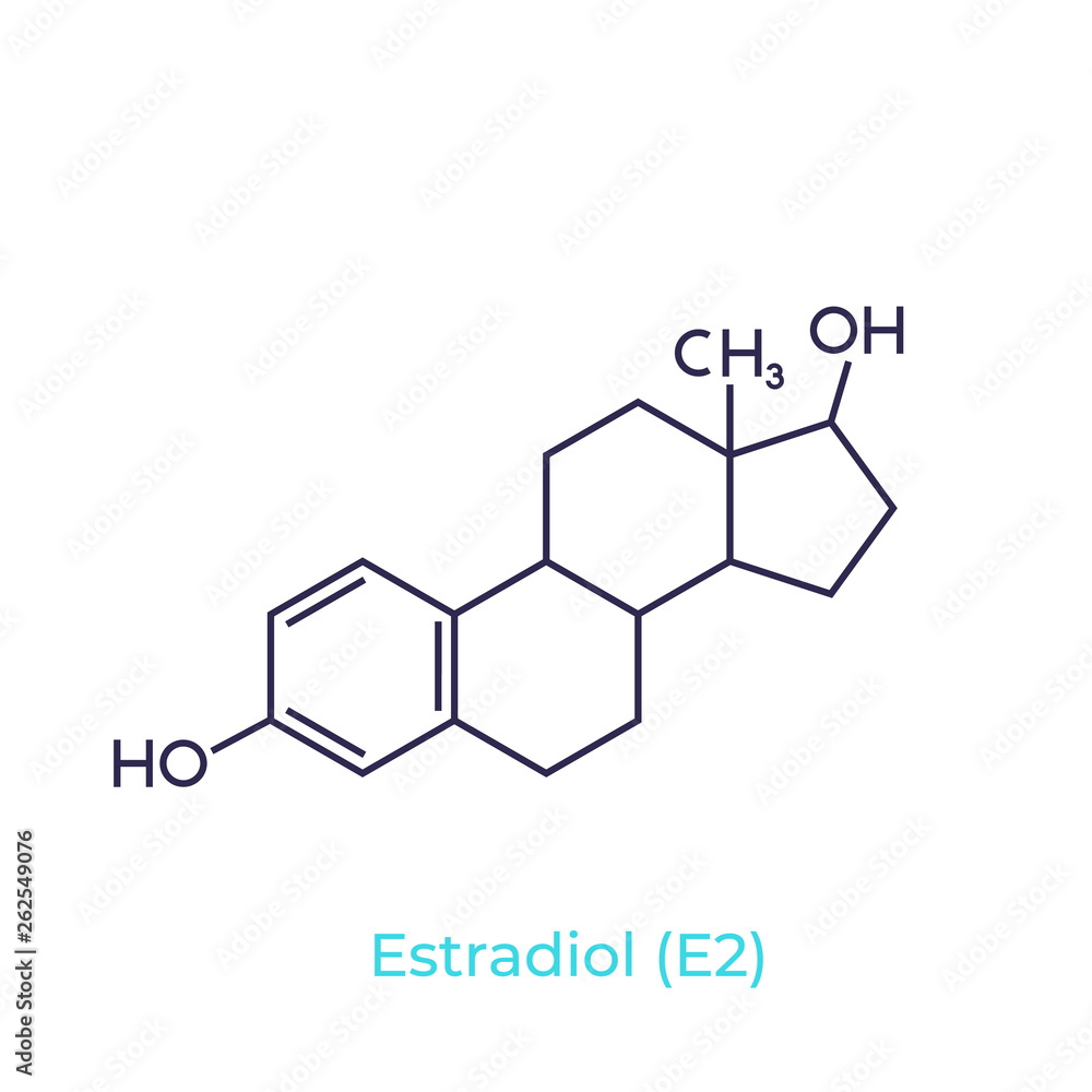 Estradiol molecule on white, vector