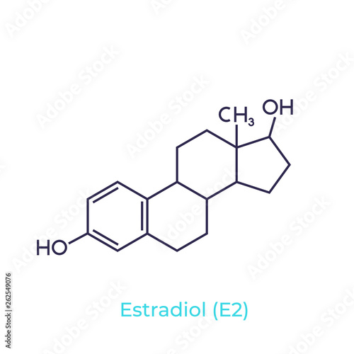 Estradiol molecule on white, vector