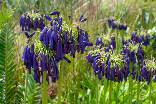 parks and reserves of south africa