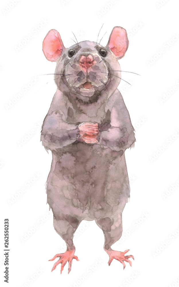 2020 Happy New Picture. Cute Rat. Greeting watercolor illustration. Symbol of winter holidays. Chinese Zodiac sign. Perfect for calendar and celebration card