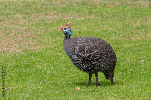 parks and reserves of south africa