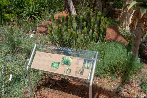 Kirstenbosch National Botanical Garden cape town parks and reserves of south africa