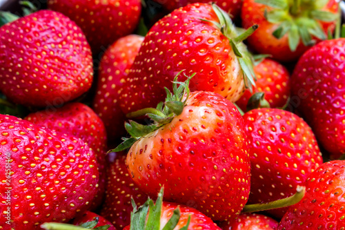 strawberry fruit closeup