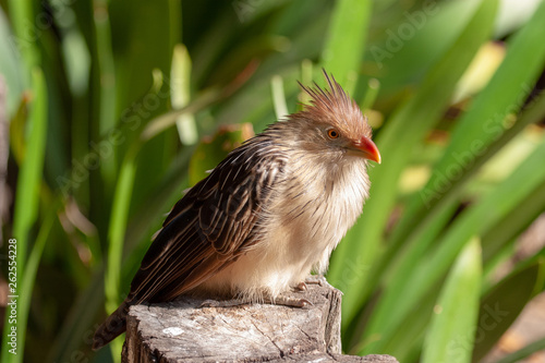 parks and reserves of south africa