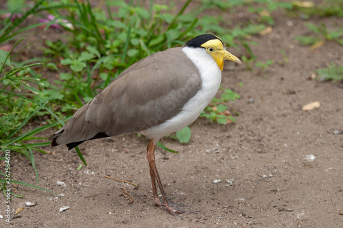 parks and reserves of south africa
