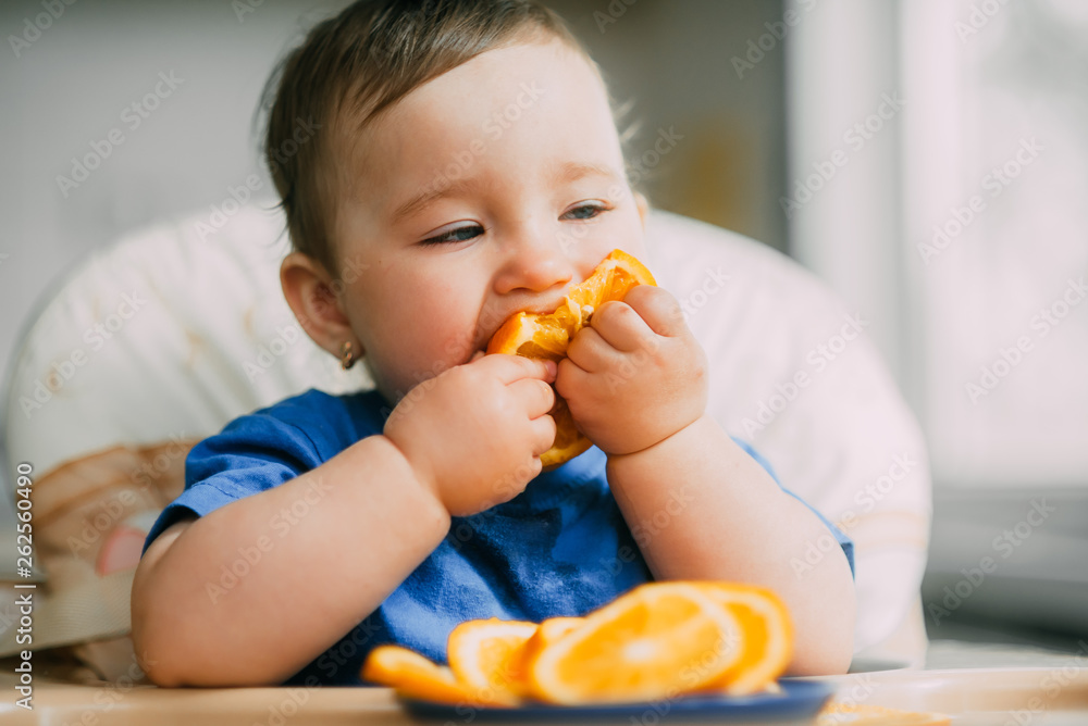 a little girl in a blue t-shirt and a blue plate sitting in a child's chair eating an orange a little girl in a blue t-shirt and a blue plate sitting in a child's chair eating an orange