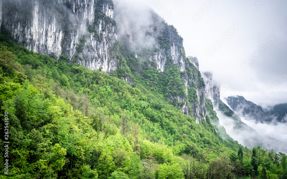 Mufu Grand canyon mountains cliffs in middle of clouds mist and green forest in Enshi China Mufu Grand canyon mountains cliffs in middle of clouds mist and green forest in Enshi China
