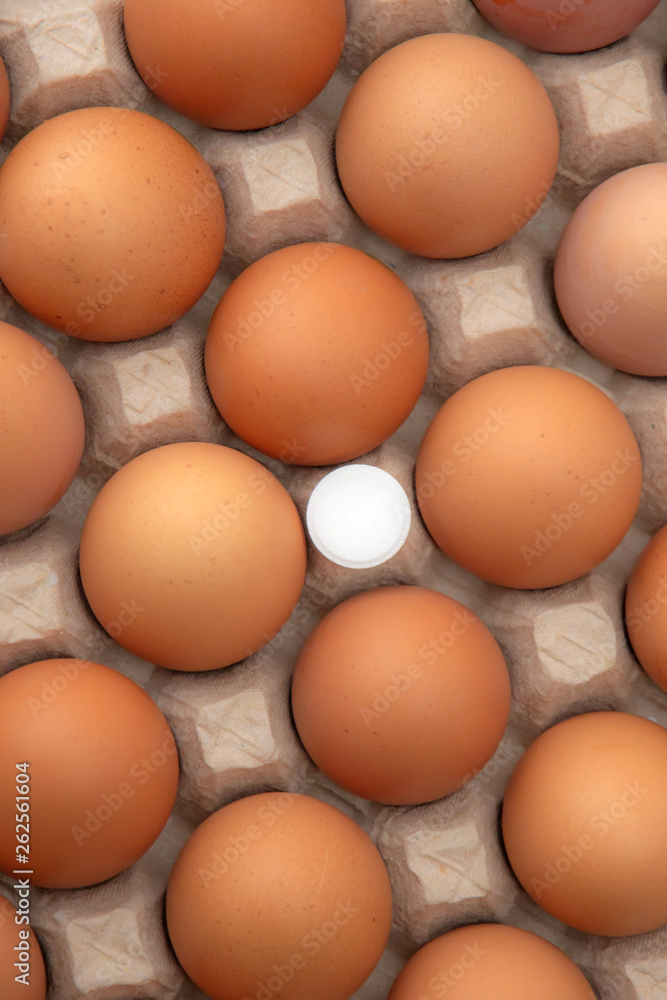 large white pill antibiotic among several eggs in the tray, top view
