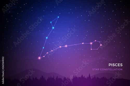 Pisces star constellation on the beautiful night sky vector illustration