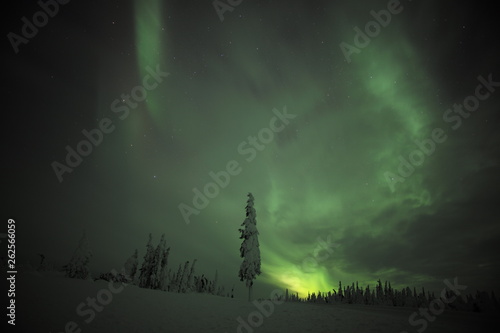 Alaska Northern Light