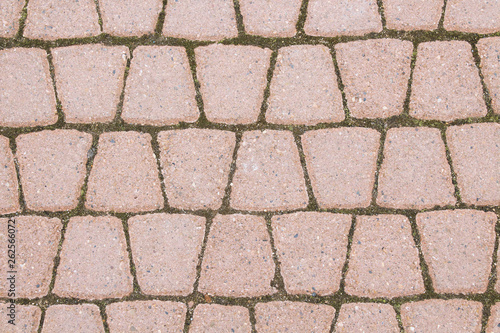 Paving stone. Close-up. Background. Texture.