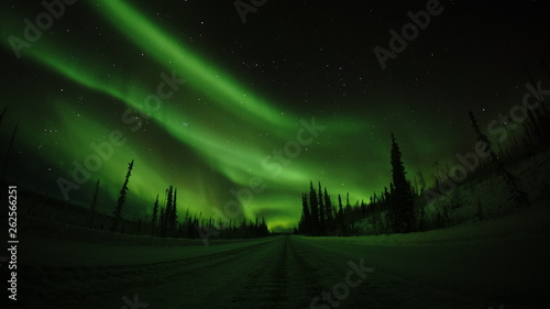 Alaska Northern Light