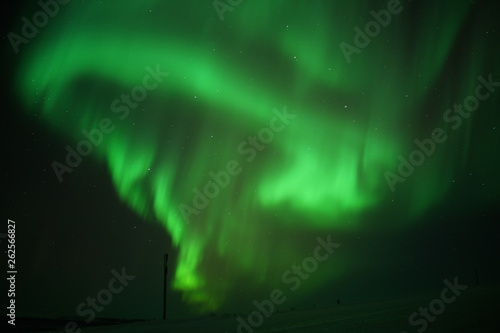 Alaska Northern Light