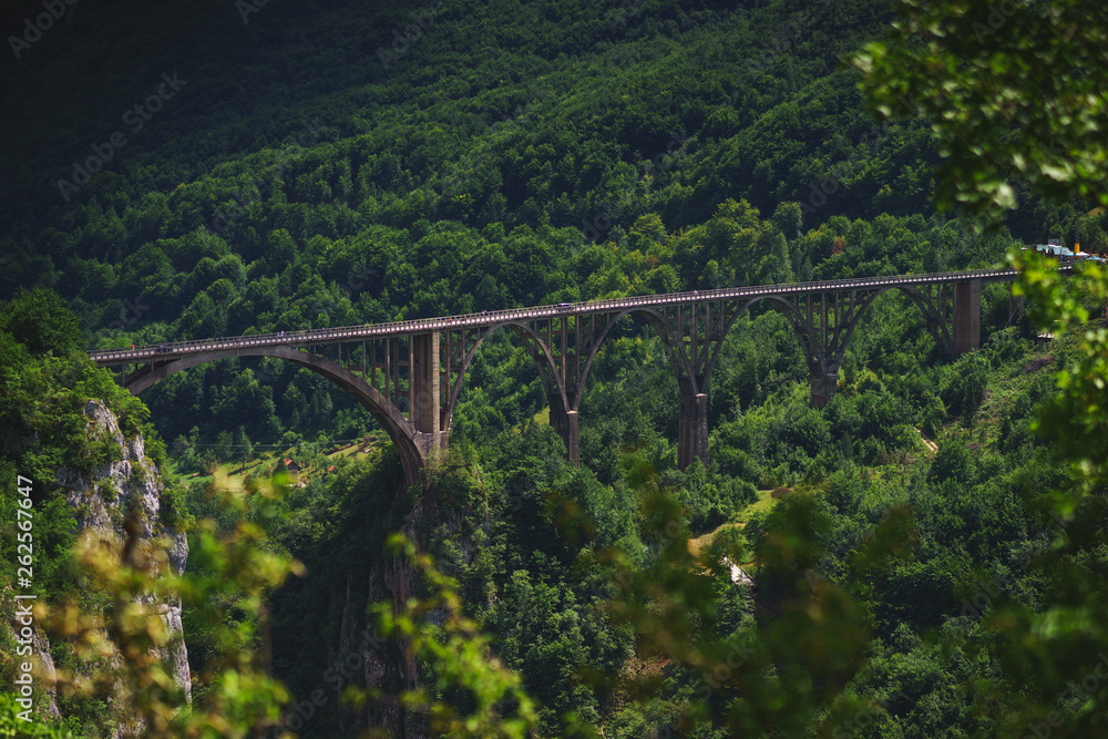 Famous arched concrete bridge in Montenegro - Dzhurdzhevicha Bridge on the river Tara. River canyon. Famous arched concrete bridge in Montenegro - Dzhurdzhevicha Bridge on the river Tara. River canyon.