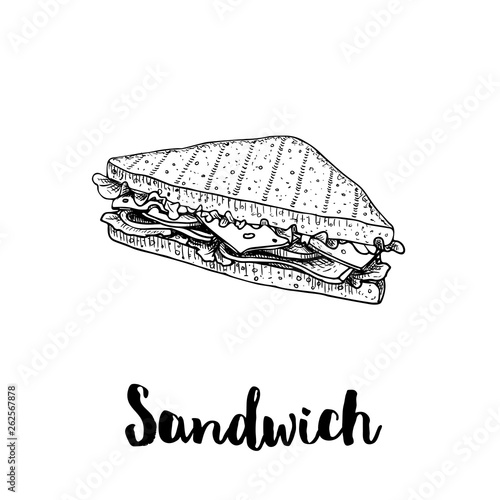 Triangle sandwich with lettuce, ham, cheese and tomato slices. Hand drawn sketch style. Grilled bread. Fast food drawing for restaurant menu and street food package. Vector illustration.