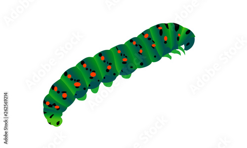 green caterpillar