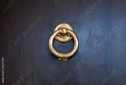Brass door knocker on dark wood