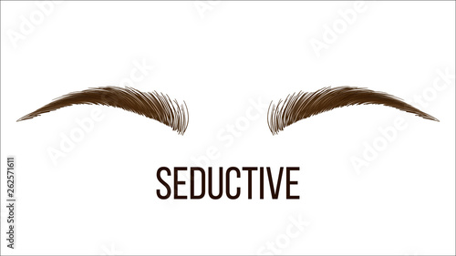 Seductive Thin Vector Hand Drawn Brows Shape. Permanent Brows Tattooing, Correction Salon. Microblading Master Parlor. Beauty, Cosmetology Business. Eyebrows Natural Makeup Realistic Illustration