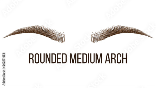 Rounded Medium Arch Vector Hand Drawn Brows Shape. Permanent Brows Tattooing Studio. Microblading Master Salon. Beauty, Cosmetology Business. Eyebrows Natural Makeup Realistic Illustration